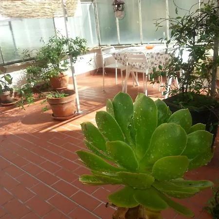 Apartamento Pacelli *